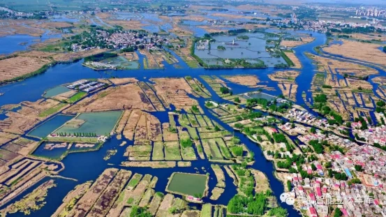 图片70.png 图片70.png